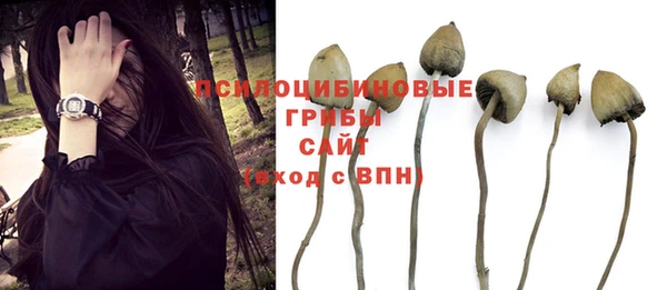 прущая мука Краснослободск
