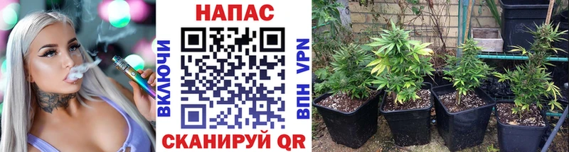 Бошки Шишки THC 21% Лабытнанги